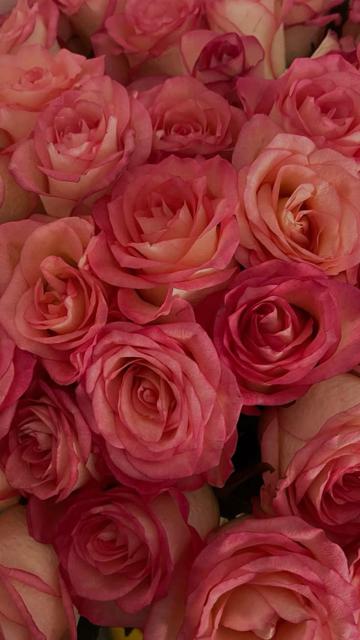 Harmony in Bloom Fragrant Ensemble
